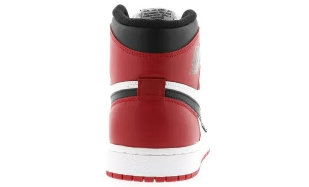 Air Jordan 1 Retro Black Toe (2013)
