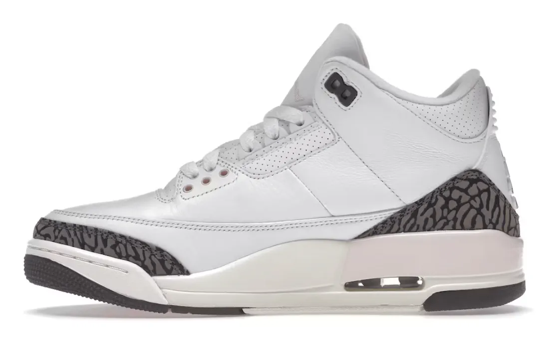 Air Jordan 3 Retro Neapolitan Dark Mocha (W)