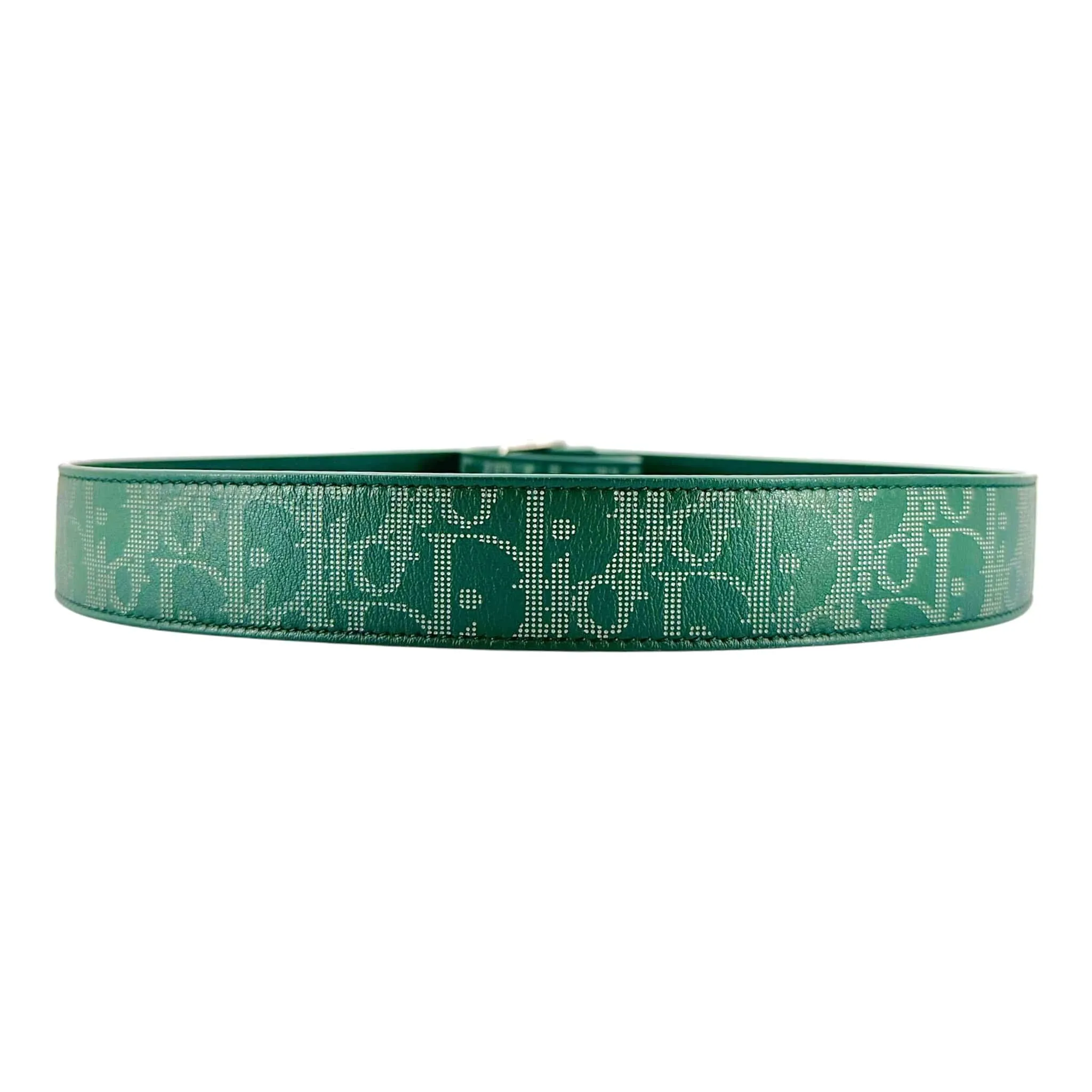 Dior Oblique Buckle World Tour Galaxy Oblique Reversible Belt Green (Green Buckle) Pre-Owned