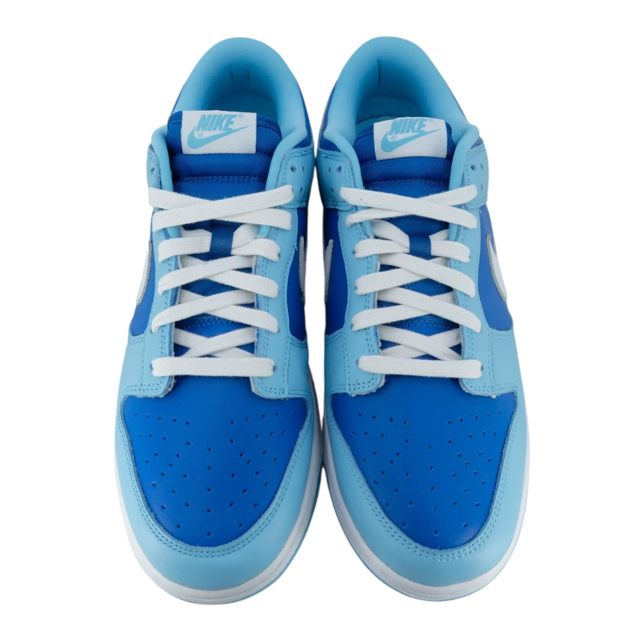 Nike Dunk Low Retro QS Argon (2022)