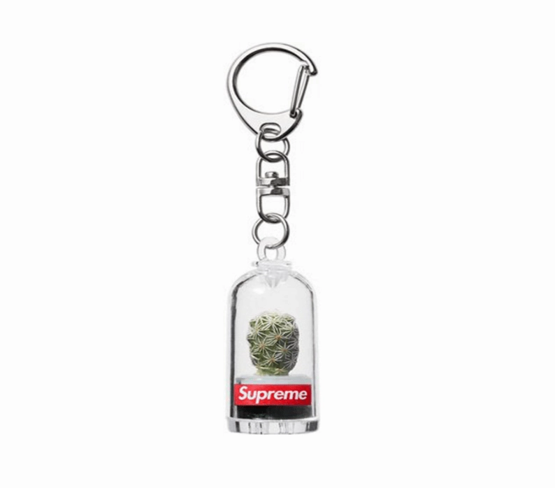 Supreme Cactus Keychain Silver